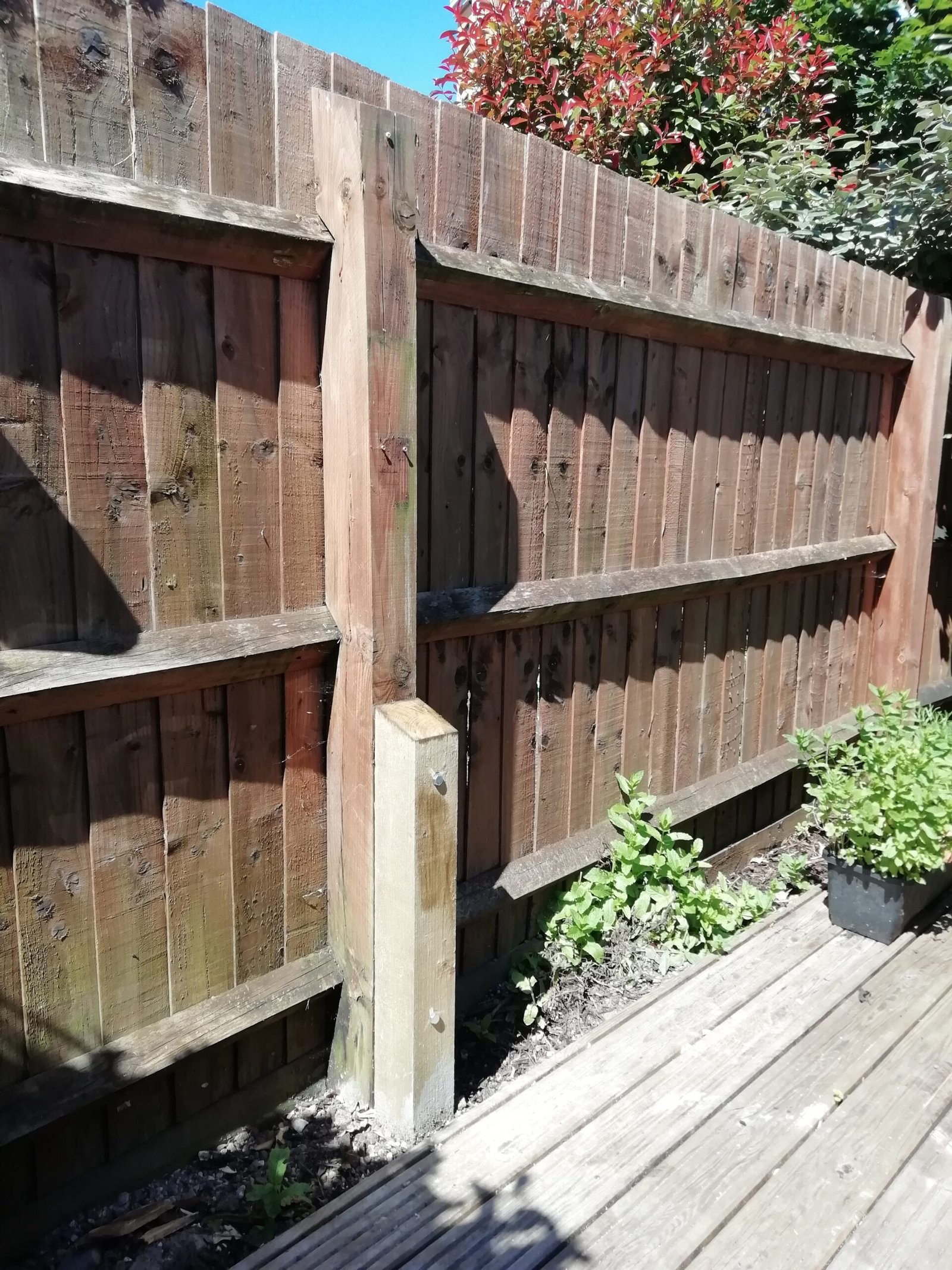 IMG_20240617_110745 fence repaired with new spur